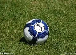 成都省体育,馆旁诞生首,个综合性,大发彩票官方网站,大发彩票团队,大发彩票,大发彩票体育集团,大发彩票赛事平台,大发彩票直播公司