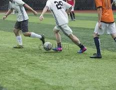 乐山市举办,第九届重阳,节老年体育,大发彩票官方网站,大发彩票团队,大发彩票,大发彩票体育集团,大发彩票赛事平台,大发彩票直播公司