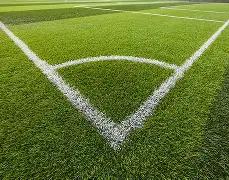 双色球,龙利鱼独门,解析,大发彩票官方网站,大发彩票团队,大发彩票,大发彩票体育集团,大发彩票赛事平台,大发彩票直播公司