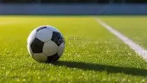 [双色球秘籍大公开]2025141期红球精准预测，顶级专家助力，赢取大奖不是梦！