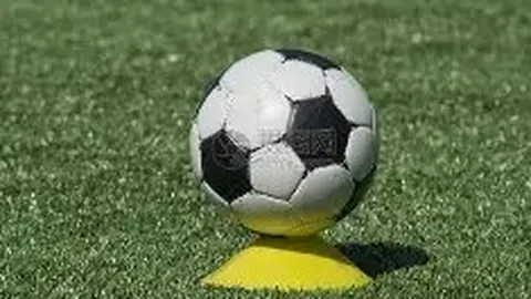 【彩界秘籍】老杨独家揭秘：福彩3D第2026029期必中胆拖组合，共享玩彩高招，揭秘中奖秘诀！